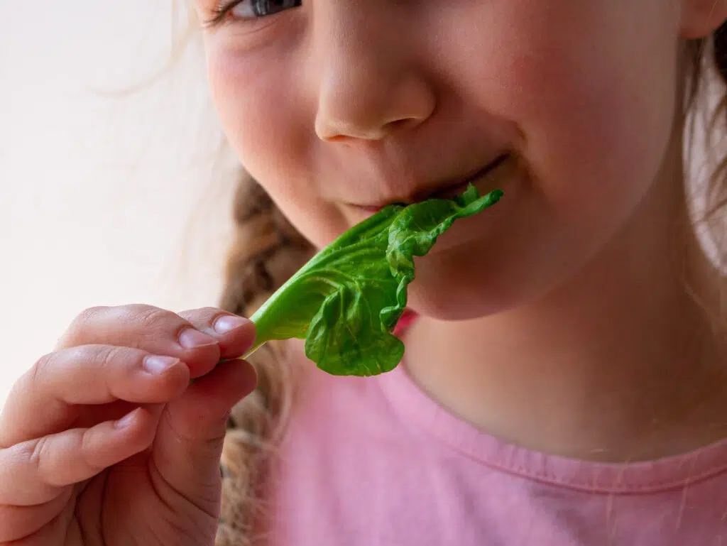 Little girl with fresh spinach in hand -Vitamin A Rich Foods